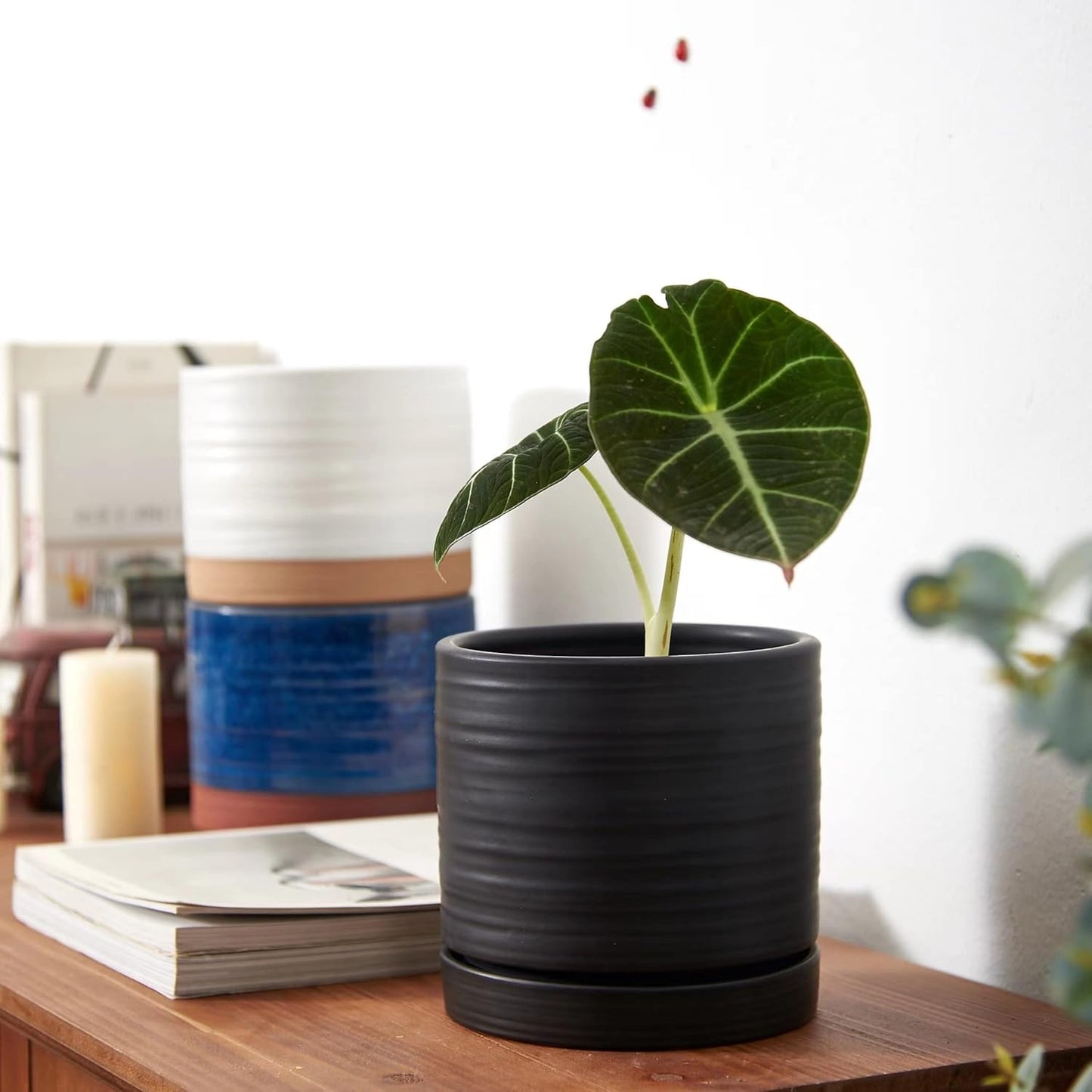 6 Inch Plant Pots, Ceramic Planter Pot with Drainage Hole & Saucer, Indoor/Outdoor Cylinder Round Planter Pot, Matte Black