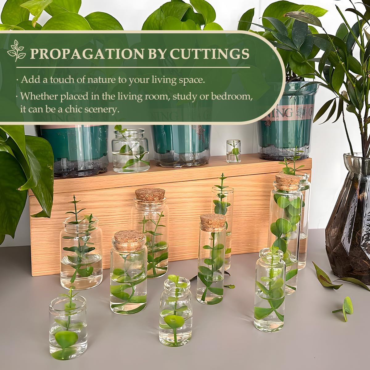 JIUYUE 4 pcs 80 ml Small Glass Bottles with Cork(2.7 oz-1.85x2.75 inch)