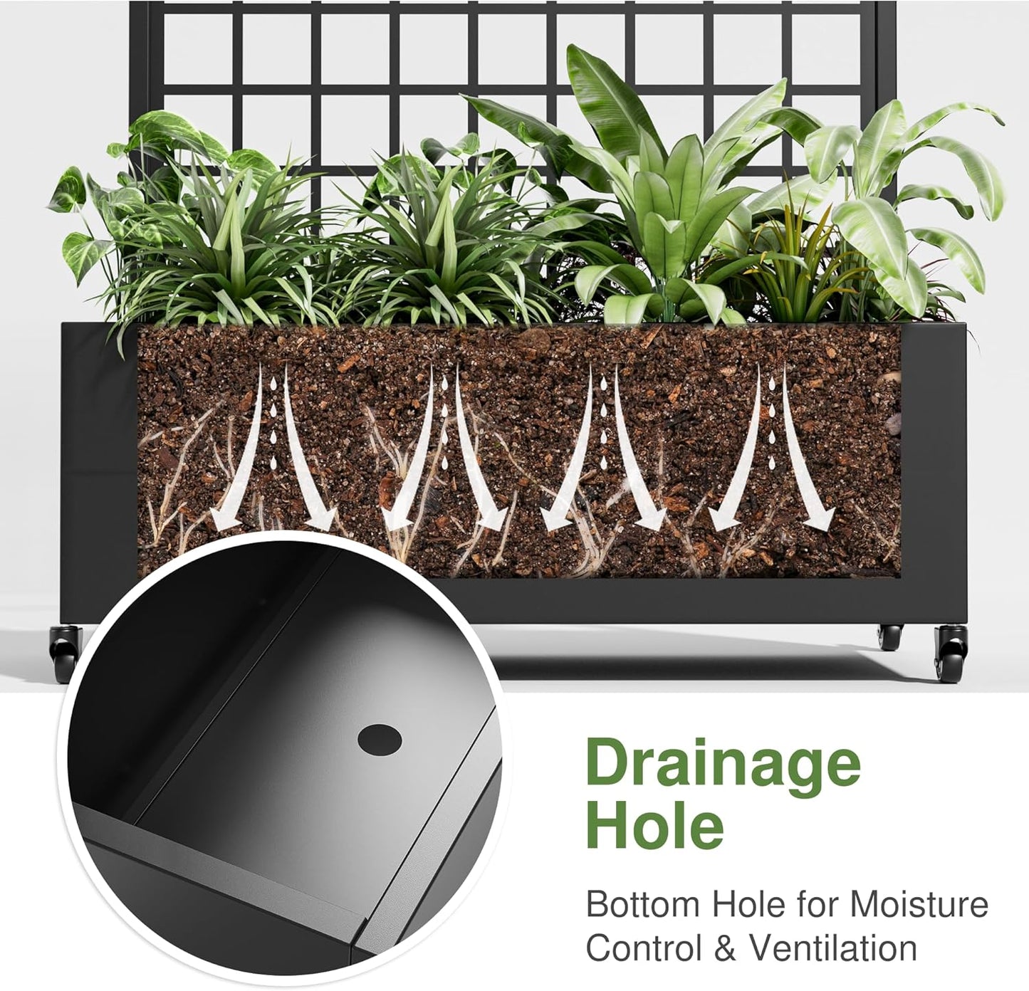 Casaphoria Metal Raised Garden Bed with Trellis and Wheels, 72"x35"x16" Arched Planter Box for Climbing Plants, Vegetables & Vines, Features Drainage Holes and Privacy Screen (Black-Grid)