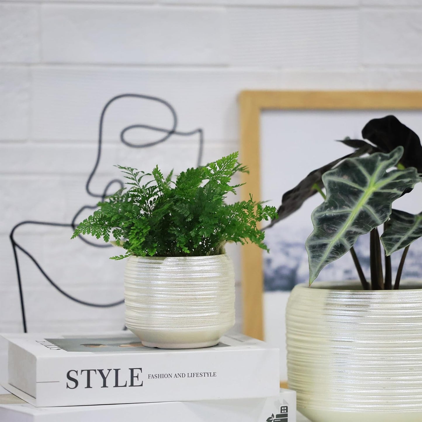 Mini Succulent Planter Set – 3.7 Inch Ceramic Pots with Drainage for Indoor Plants, Small Decorative Flower Pots for Cactus and House Plants, Set of 4