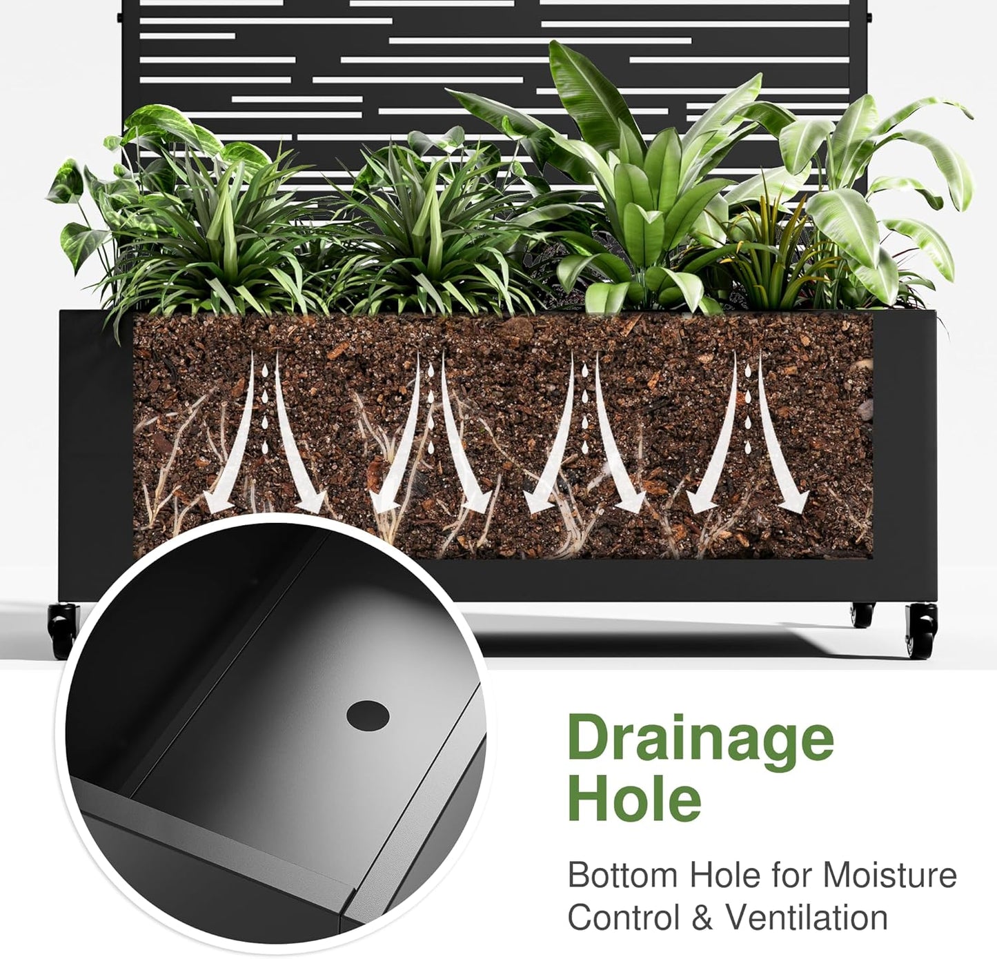 Casaphoria Metal Raised Garden Bed with Trellis and Wheels, 72"x47"x16" Planter Box for Climbing Plants, Vegetables & Vines, Features Drainage Holes and Privacy Screen (Black-Shine)