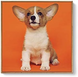 NWT Custom Framed Canvas Prints with Your Photo for Pets, Personalized Canvas Wall Art for Living Room, Bedroom - 16x16 inches