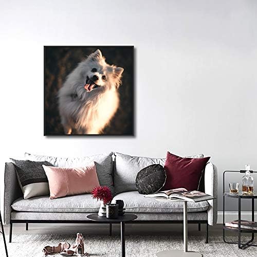 NWT Custom Framed Canvas Prints with Your Photo for Pets, Personalized Canvas Wall Art for Living Room, Bedroom - 24x24 inches