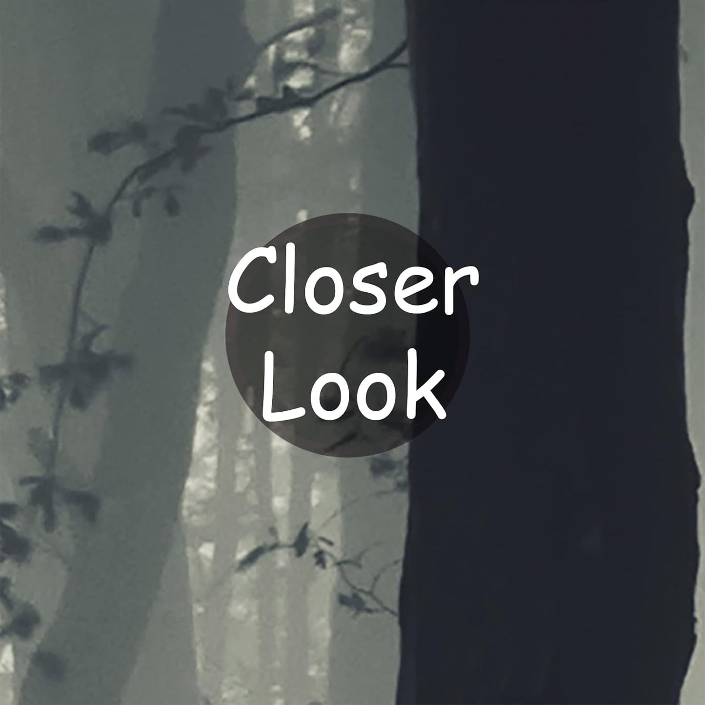 Foggy Forest Wallpaper Misty Jungle Rainforest Trees Nature Landscape Wall Mural(Not Peel n' Stick)