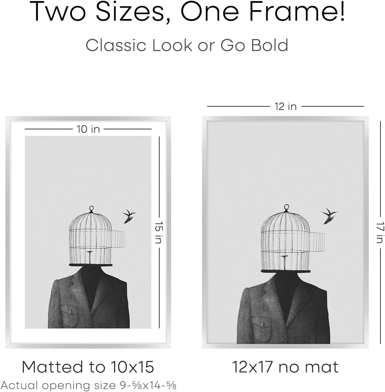 Homeforia 12x17 Picture Frame Silver, High End Metal 12x17 Frames with Mat 10x15 for Photo, 12 x 17 Silver Poster Frame Matted to 10 x 15 Print, 17x12 Hanging Frame, Tempered Glass, Wall Kit, Set of 1