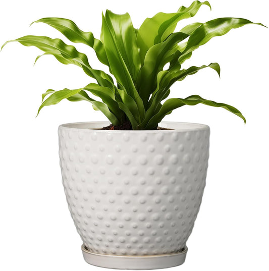 G EPGardening 8 Inch Plant Pot for Indoor Outdoor Plants Round Ceramic Planter Pot with Drainage Hole and Saucer Modern Large Flower Pot White