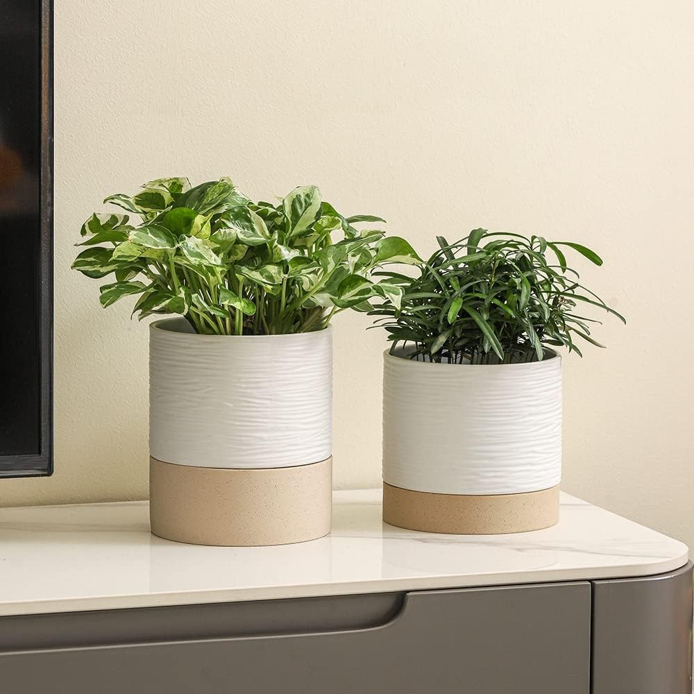 Nihow Ceramic Plant Pot: 6 Inch Planter with Drainage Hole & Saucer for Indoor & Outdoor Plants - Cylinder Round Flower Pot for Succulent/Herbs/Violets - White & Brown