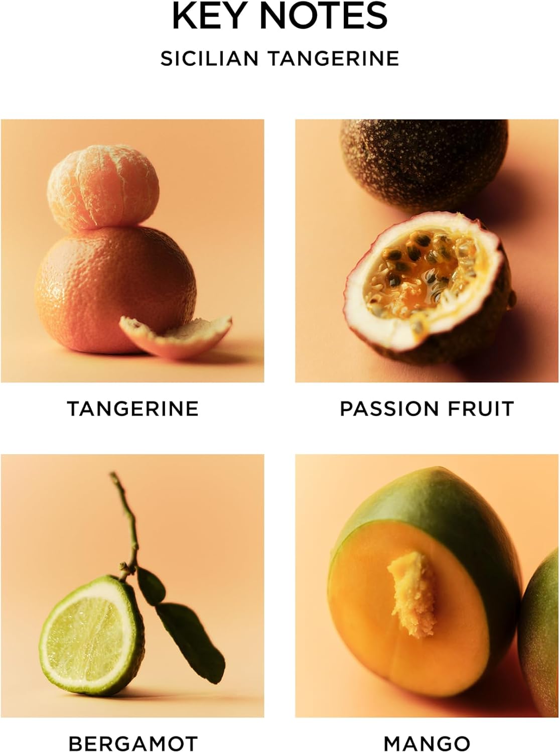 NEST New York Scented Classic Candle, Sicilian Tangerine - 8.1 oz - Up to 60-Hour Burn Time - Reusable Glass Vessel