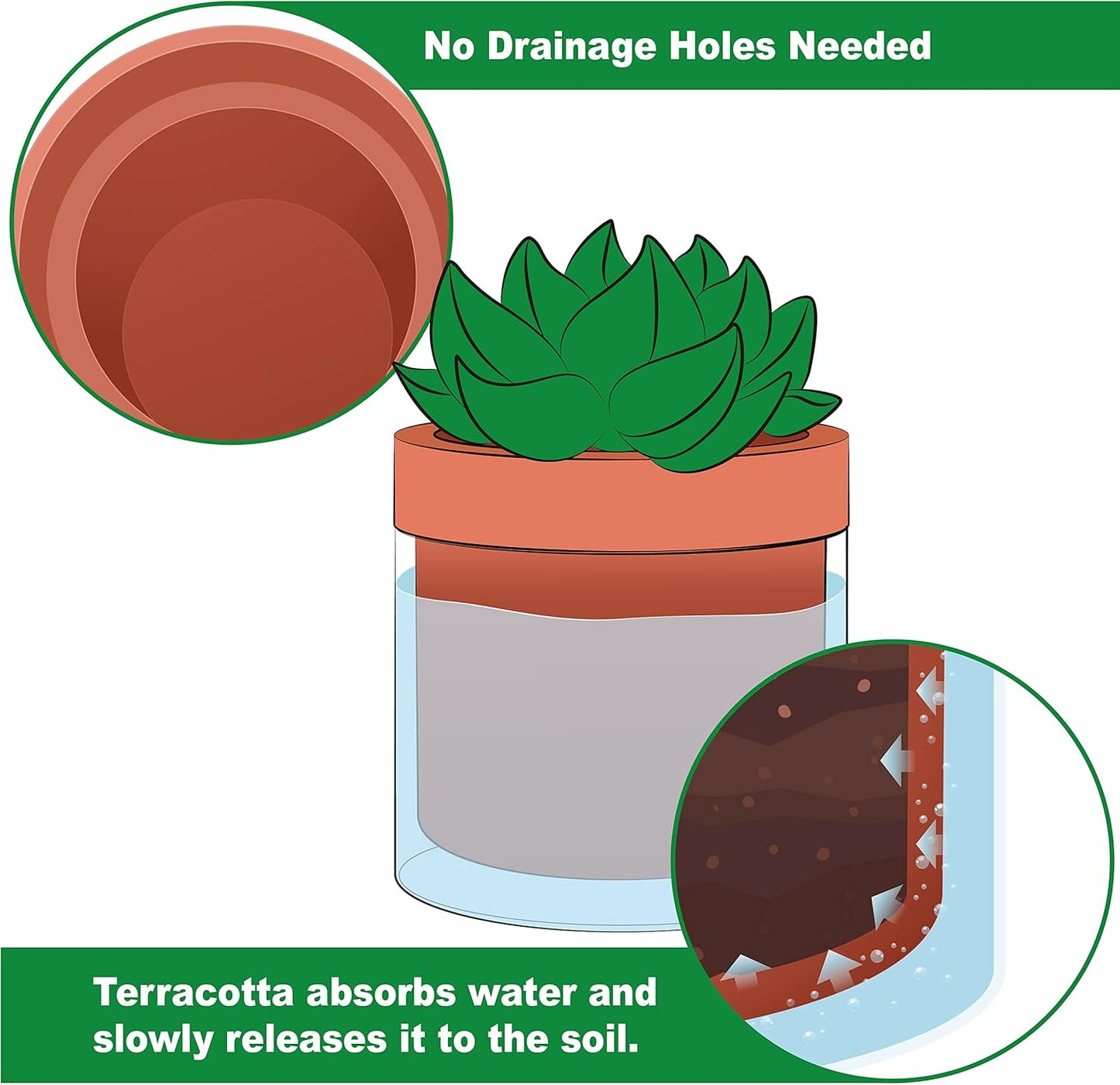 Phoenix Vine 4 Inch Self Watering Planter Pot, Terracotta Clay Pot with Glass Reservoir for Indoor Plants, Herbs, Flowers, Set of 2, 52-A-E-2