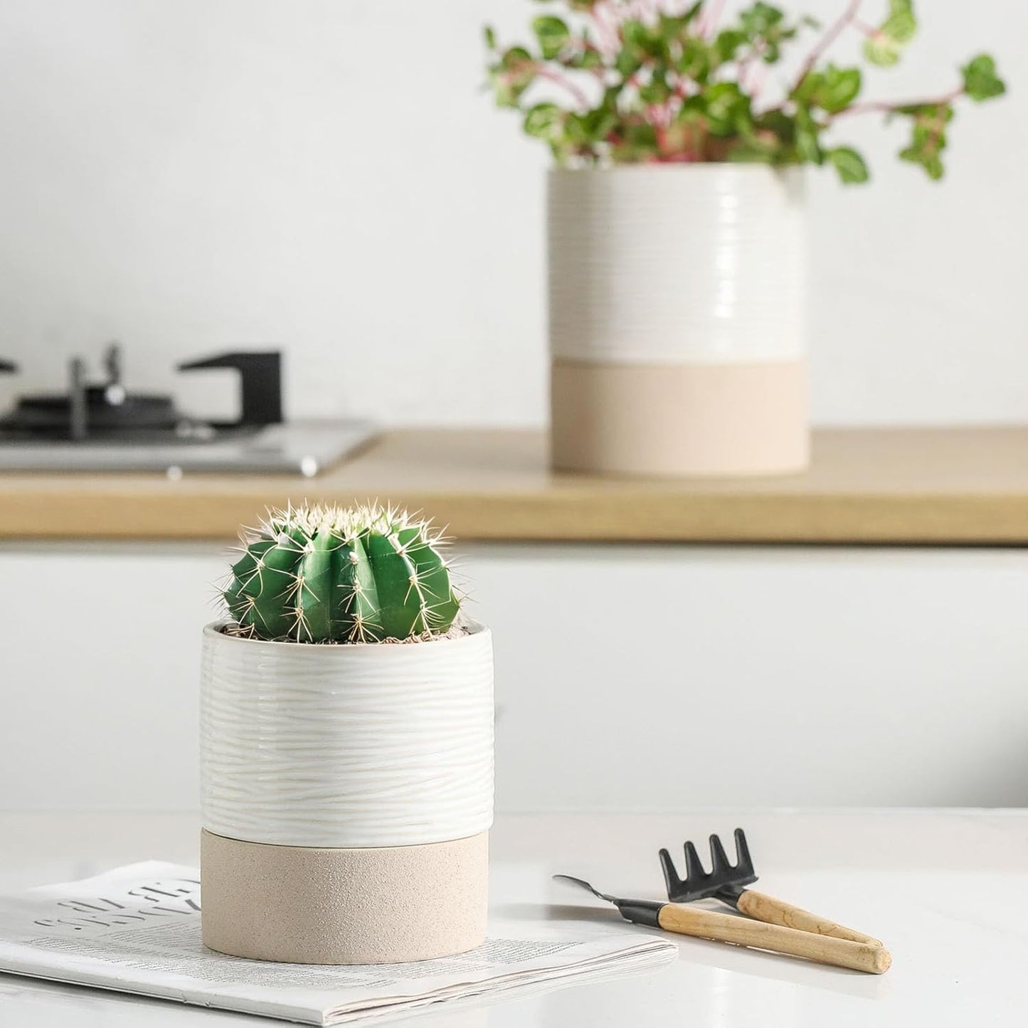 Nihow Self Watering Plant Pot: 4.5 Inch Ceramic Planter with Drainage Hole & Water Storage Plus for Indoor & Outdoor Plants - Cylinder Flower Pot for Herbs/Violets - White & Brown