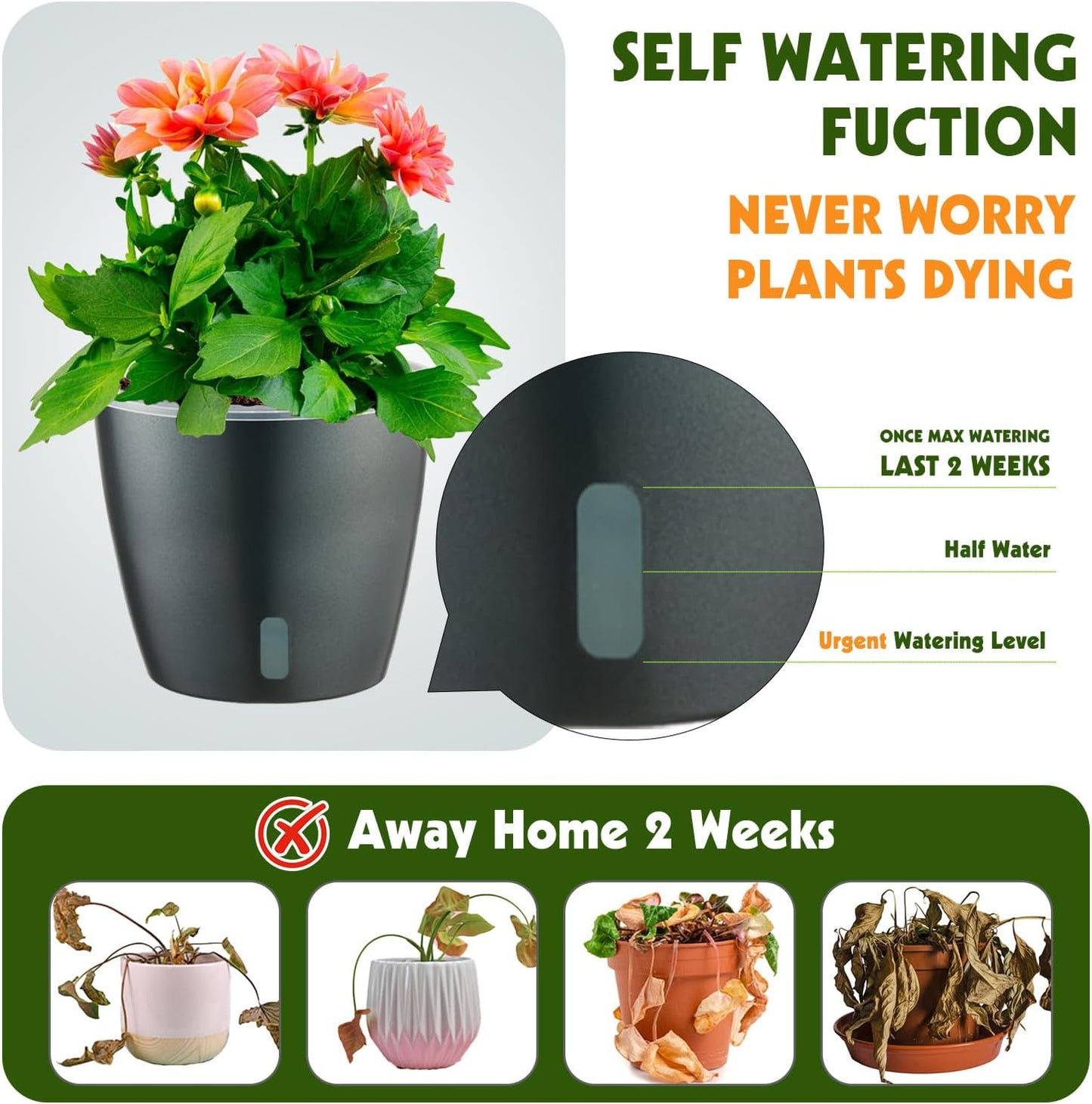Self Watering Pots for Indoor Plants, 6-Pack 6.7'' Self Watering Planter with Drainage Holes, Small African Violet Pots with Water Indicator, Clear Wick Orchid Pot, Grey Gold
