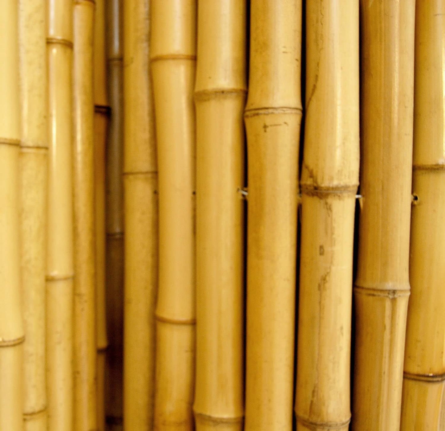 Backyard X-Scapes Natural Bamboo Fencing Decorative Rolled Fence Panel 1 in D x 4 ft H x 8 ft L