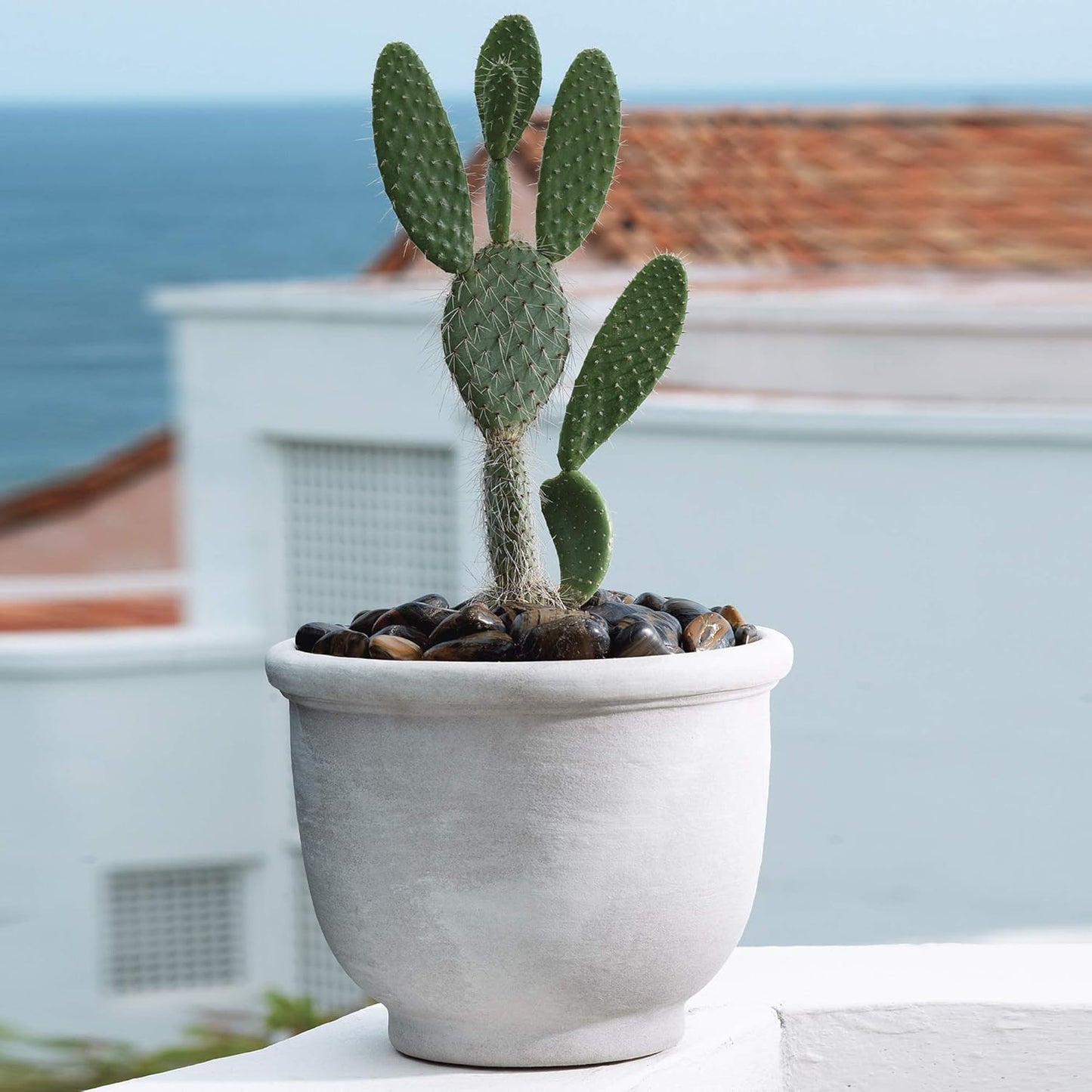 Crescent Garden Agave Planter, Charming Old-World Plant Pot, 18-Inch (Rust)