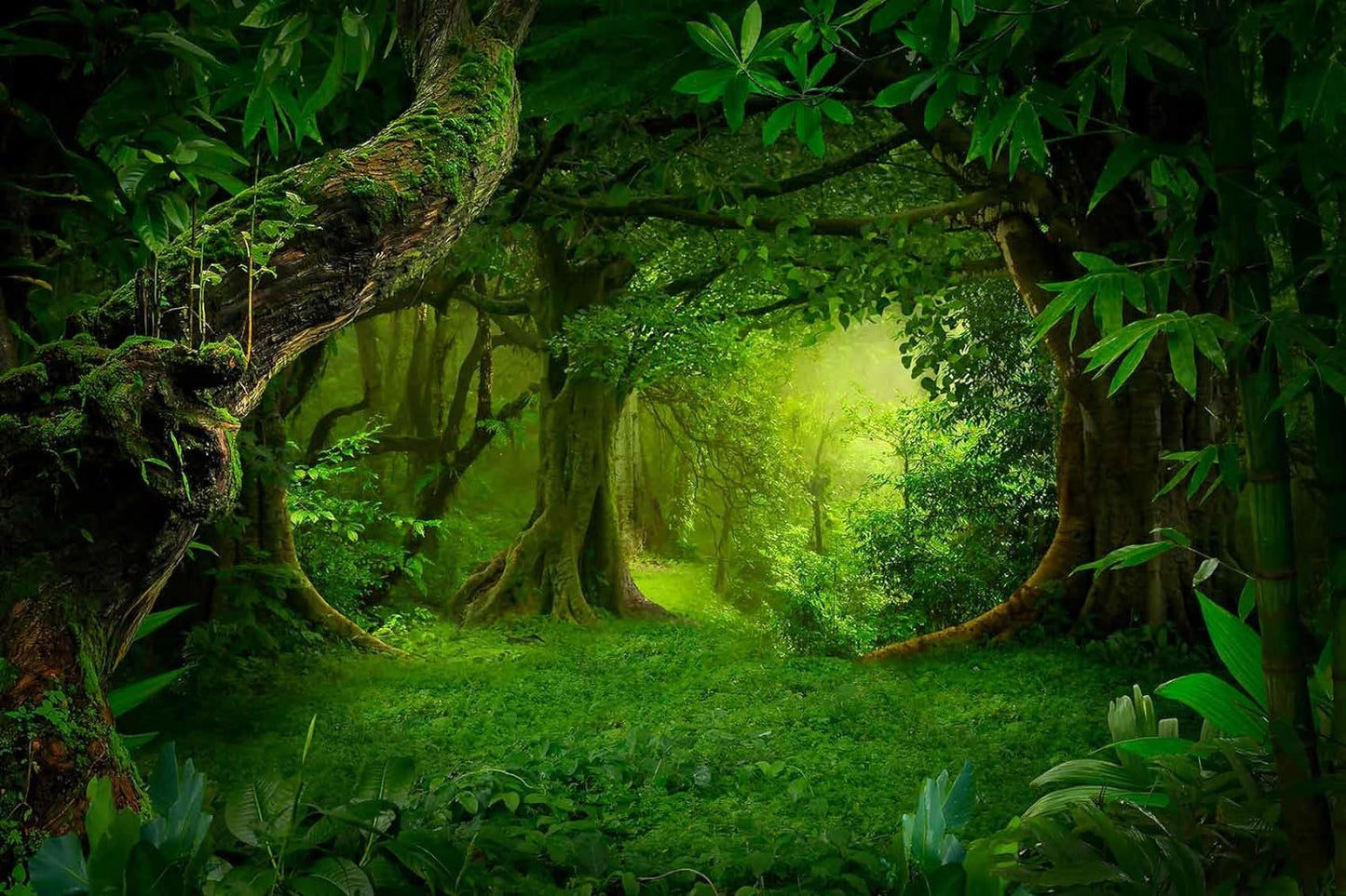 Ancient Large Trees Forest Wallpaper, Large Background Wall Mural, Decorating Bedroom, Living Room, Bath Room(Non-self-Adhesive)