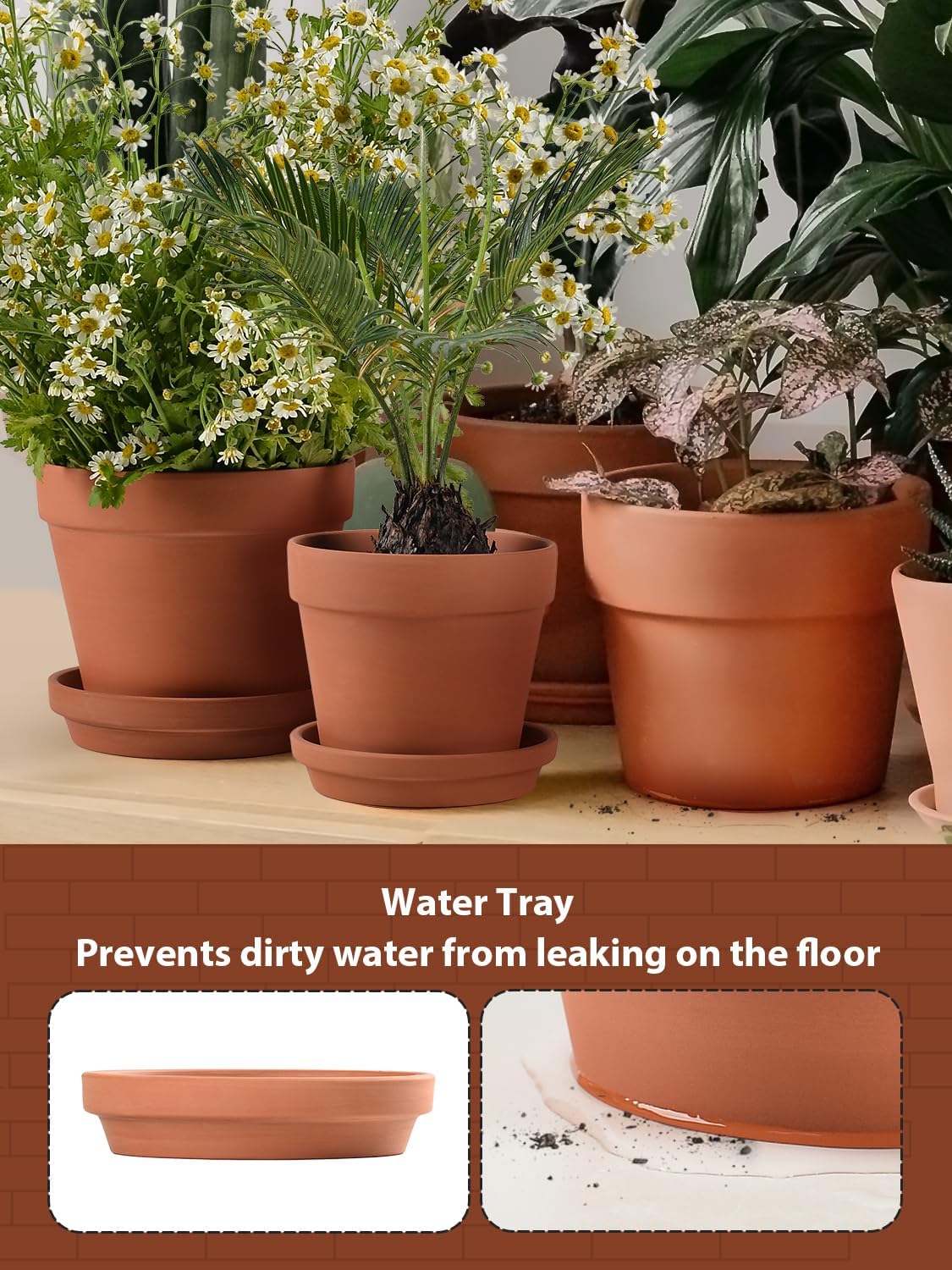 INGOFIN Terracotta Pots Set with Saucer - 5/6/7 inch Ceramic Clay Planters with Drainage Hole, Garden Flower Succulent Pots with Tray for Indoor Outdoor Plants, Set of 3