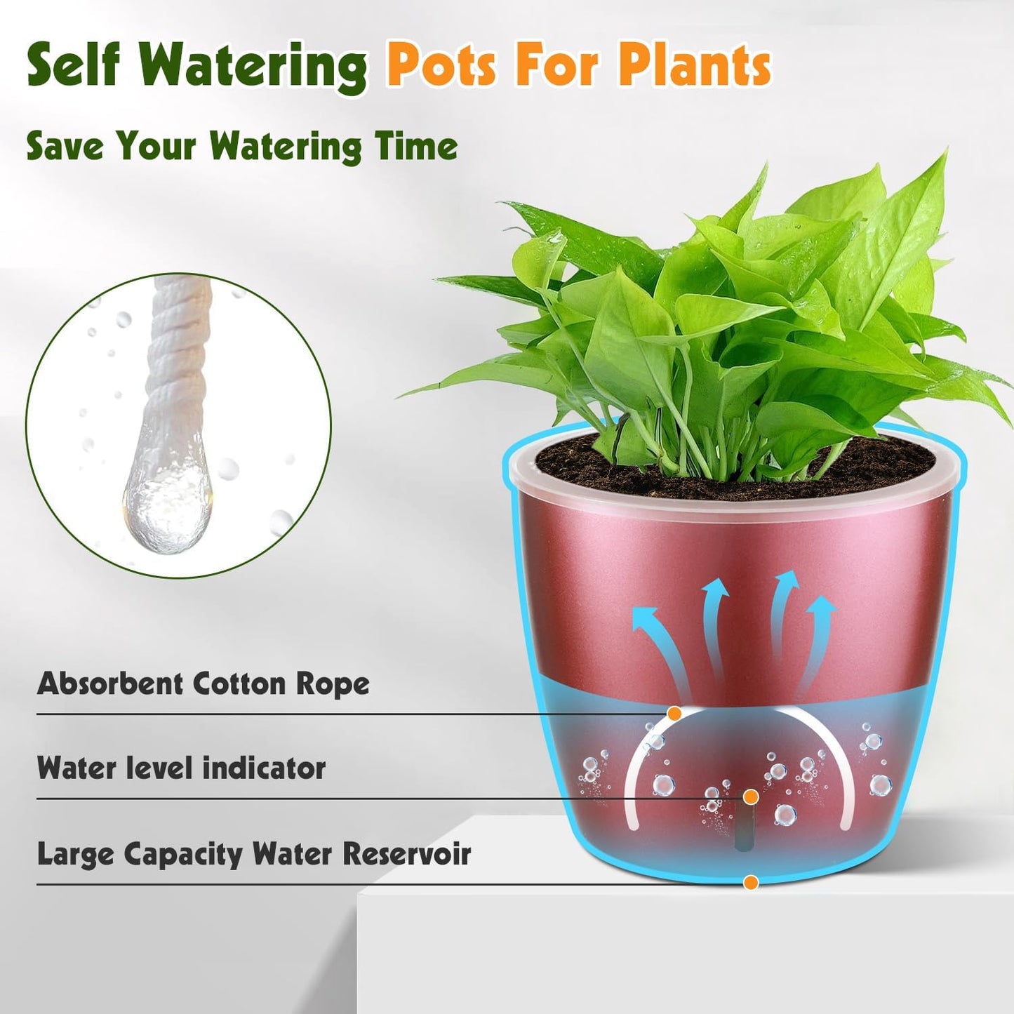 Self Watering Pots for Indoor Plants, 6-Pack 5'' Self Watering Planter with Drainage Holes, Small African Violet Pots with Water Indicator, Clear Wick Orchid Pot, Rose Gold