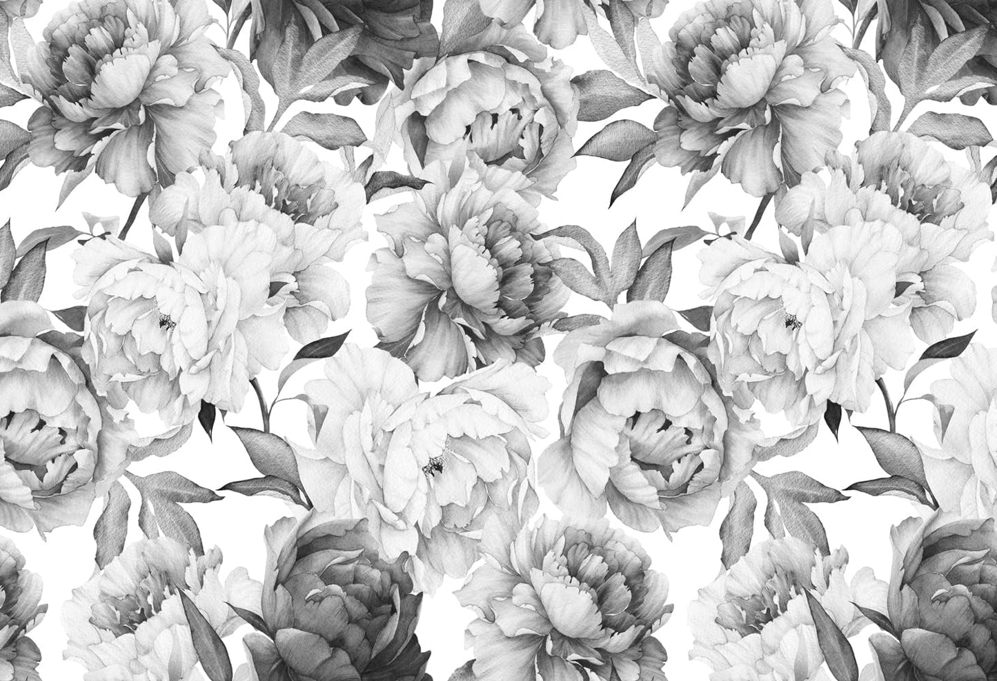 Gray Peonies Wallpaper Watercolor Floral Mural Wallpaper for Nursery(Not Peel n' Stick)