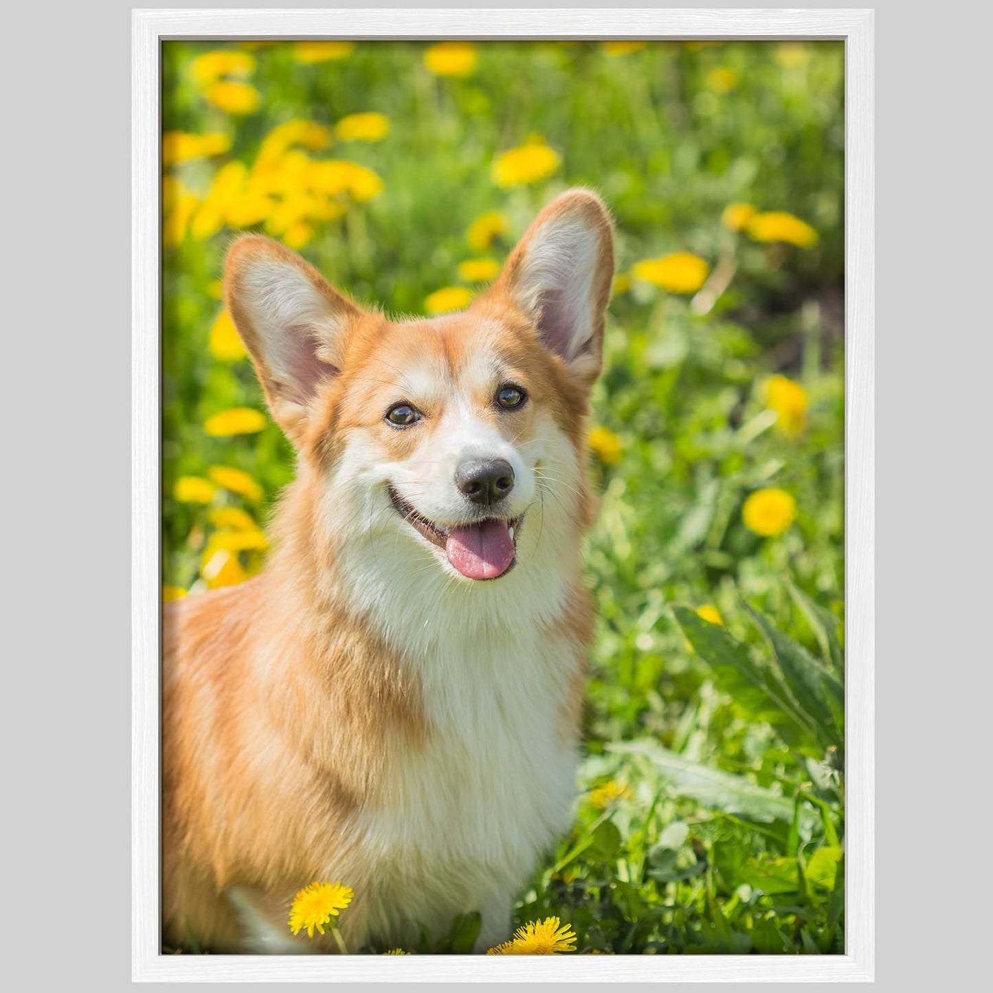 NWT Custom Framed Poster Prints with Your Any Photos, Personalized Canvas Pictures for Wall to Print Framed - 8"x10" White