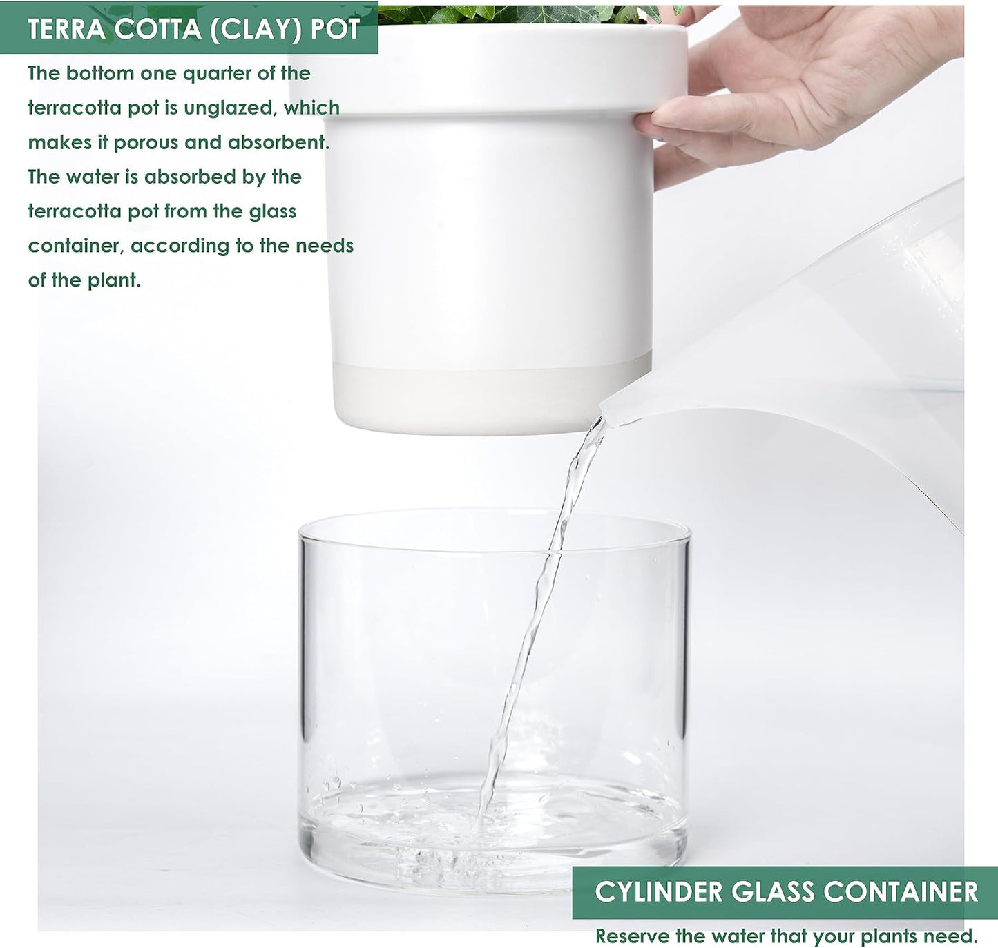 Phoenix Vine 6 Inch Self Watering Planter, White Terracotta Clay Pot with Glass Reservoir for Indoor Plants, Herbs, Flowers, Set of 1, 52-B-F-1