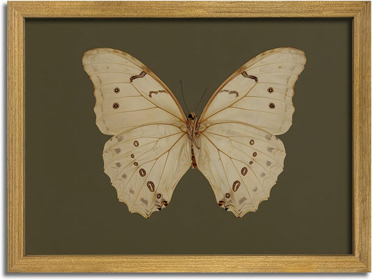 Wood Framed White Butterfly Wall Art, Vintage Butterfly Oil Paintings, Dark Moody Insect Canvas Prints, Boho Sage Green Wall Decor, for Bedroom Kitchen Bathroom Cottagecore Room Decor - 8x10 Inch