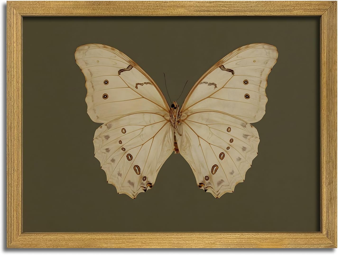 Wood Framed White Butterfly Wall Art, Vintage Butterfly Oil Paintings, Dark Moody Insect Canvas Prints, Boho Sage Green Wall Decor, for Bedroom Kitchen Bathroom Cottagecore Room Decor - 16x24 Inch