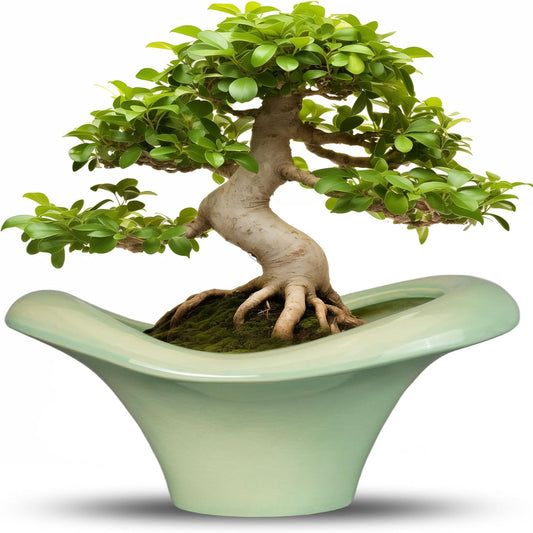 Ceramic Bonsai Pots - Large Succulent Planter 13 Inch Plant Pot Indoor Succulent Pot with Drainage Hole Outdoor Planter Bonsai Tree Pot for House Home Garden Office Decor Green