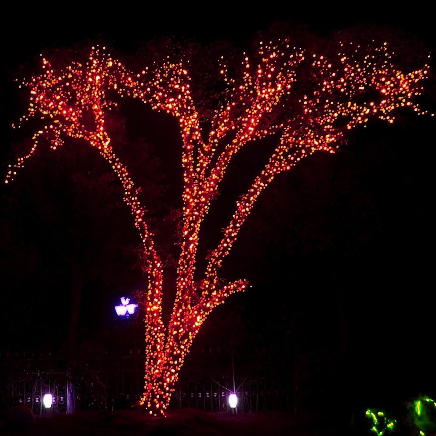 DAZZLE BRIGHT Halloween 300 LED String Lights, 100FT Connectable String Lights with 8 Lighting Modes, Halloween Decorations for Party Carnival Supplies, Indoor Outdoor Yard Garden Decor (Orange)