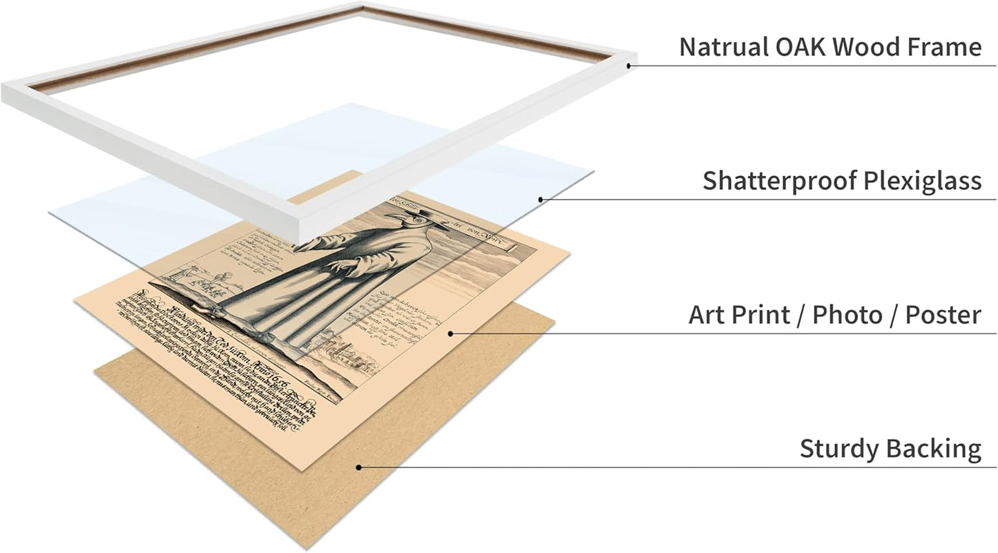 Poster Master Vintage Medieval Poster - Retro Illustration Print - Gift for Friend - Plague Doctor, Pandemic Mask, Physician, Black Death - Wall Decor for Home, Living Room, 11x14 White Framed