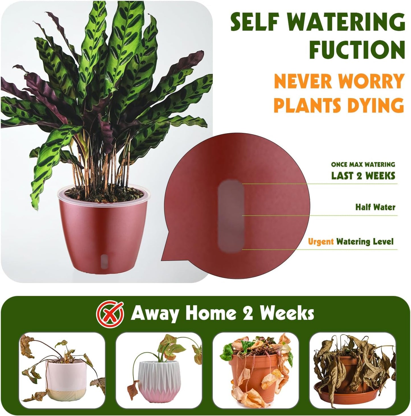 Self Watering Pots for Indoor Plants, 4-Pack 6.7'' Self Watering Planter with Drainage Holes, Small African Violet Pots with Water Indicator, Clear Wick Orchid Pot, Rose Gold