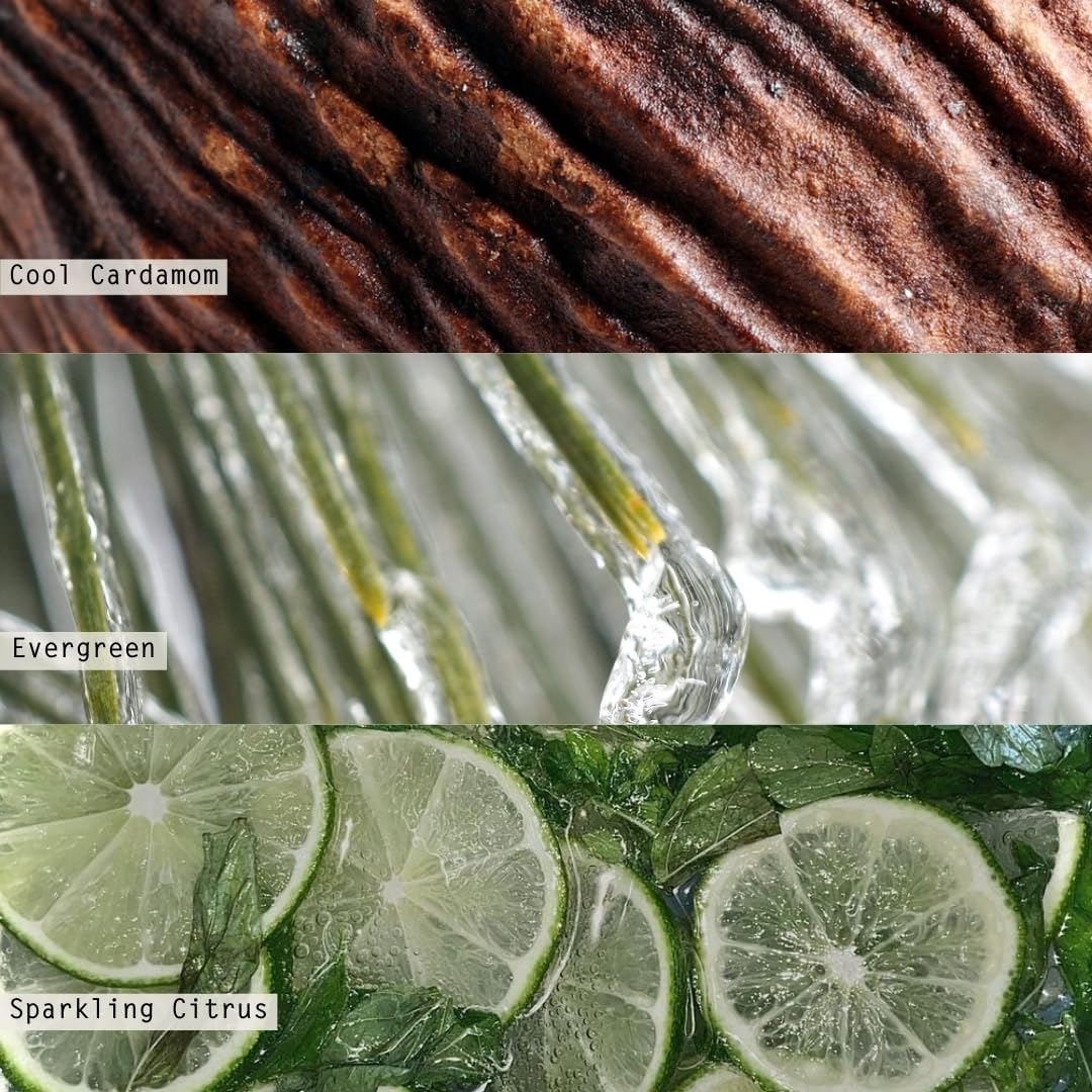 ILLUME Demi Vanity Tin Candle, Winter White