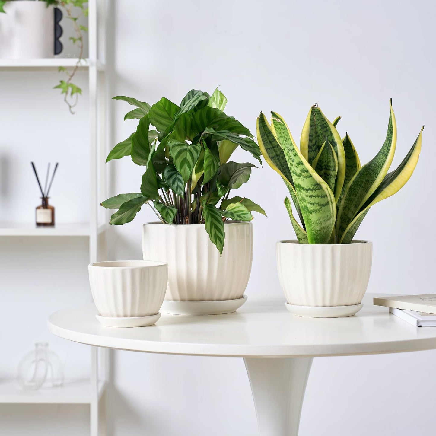 4/5/6 Inches Ceramic Plant Pots with Drainage Holes and Saucers, Round Flower Pots for Indoor Plant, Modern Flower Planters Set of 3 (White-Big Size)