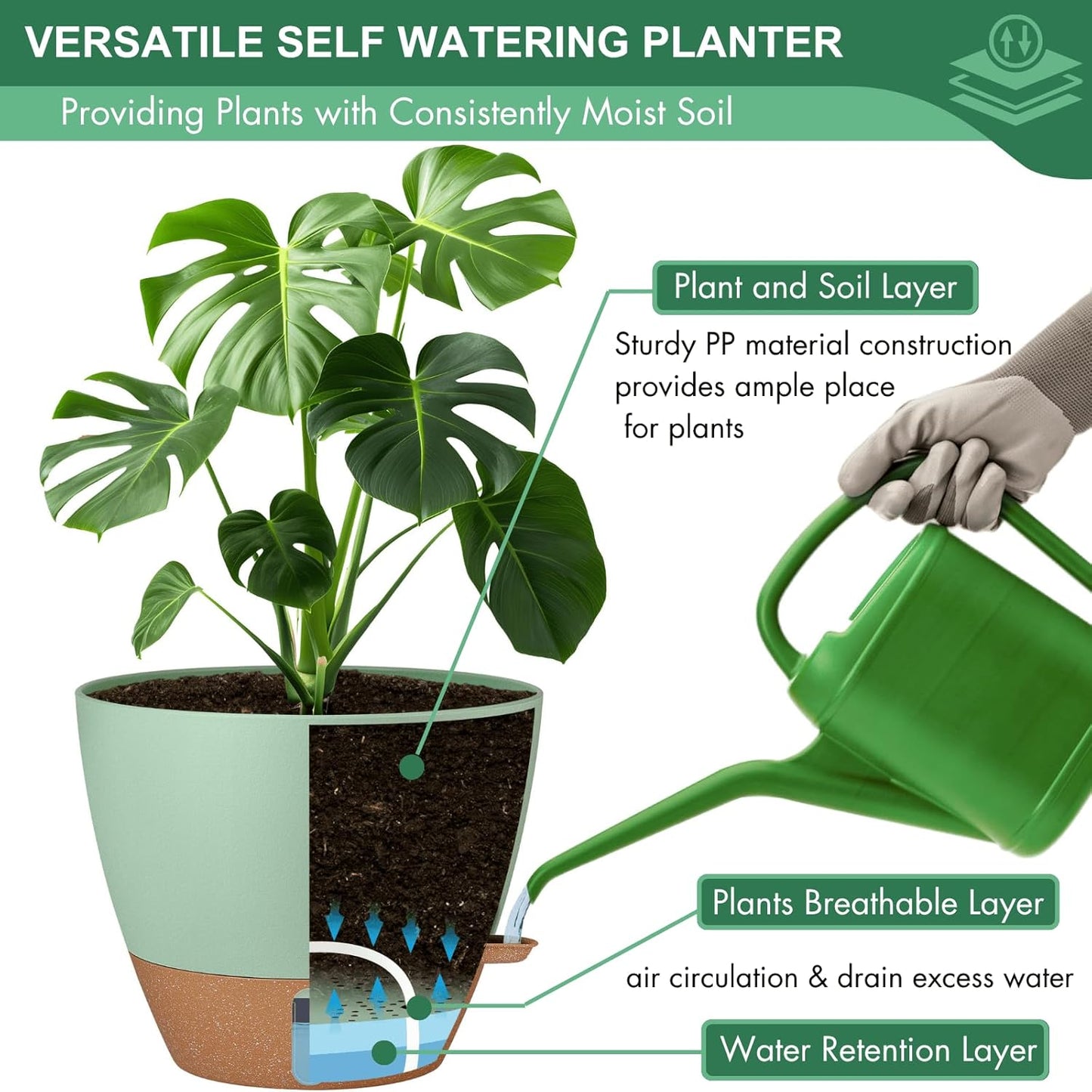 montresor 2 Pack 8 inch Plant Pots, PP Plastic Self Watering Plant Pot with Drainage and Tray for Indoor Outdoor Plants, Water Level Window & Reservoir Flower Pots Decorative Planter (Green)