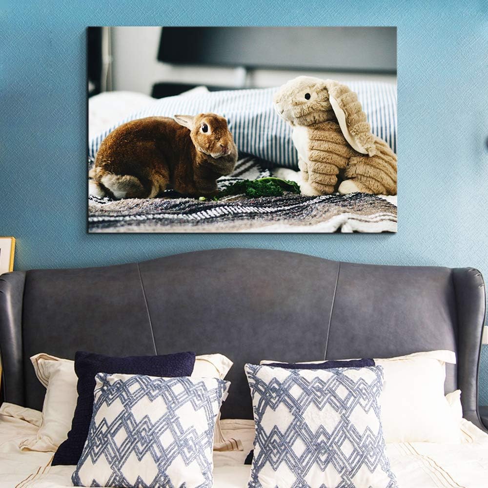 NWT Custom Canvas Prints with Your Photos for Pet/Animal, Personalized Canvas Pictures for Wall to Print Framed 11x14 inches