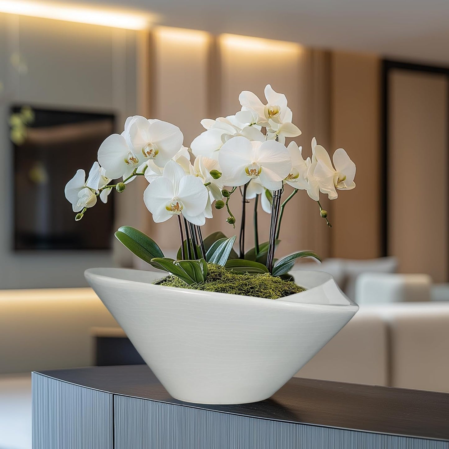 Bonsai Pots 13 Inch - Ceramic Succulent Pots with Drainage Hole Decorative Plant Pot Indoor Large Outdoor Planter Modern Flower Pot for Home Garden Office Room Decor Gray