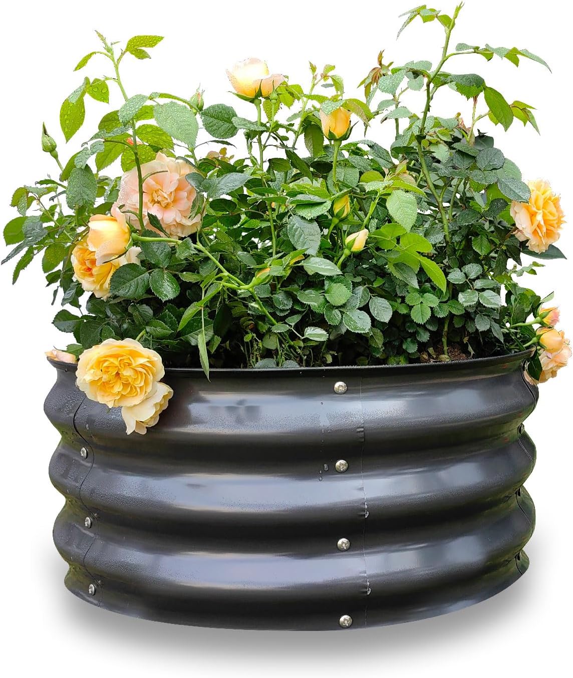 GARDMAX 2x2x1FT Galvanized Round Raised Garden Bed Kit, Metal Planter Boxes Outdoor with Easy Assembly, Large Garden Bed for Vegetables, Fruits, Flower, Herbs Dark Gray