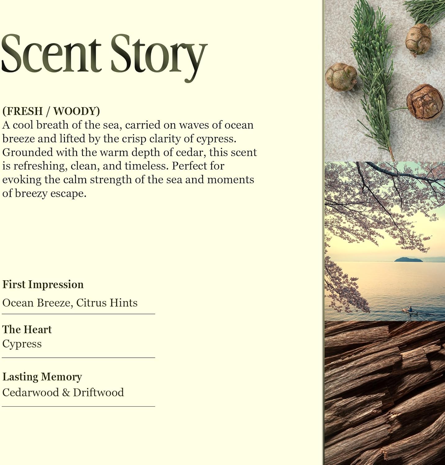 Scented Luxury Candles in Handmade Ceramic Jars, Soy Wax | Day On The Sea – Cypress & Cedar, Large Candle | Non Toxic, 2 Wicks, Reusable Big Blue Jar | Natural Spring Aromatherapy for Women & Men