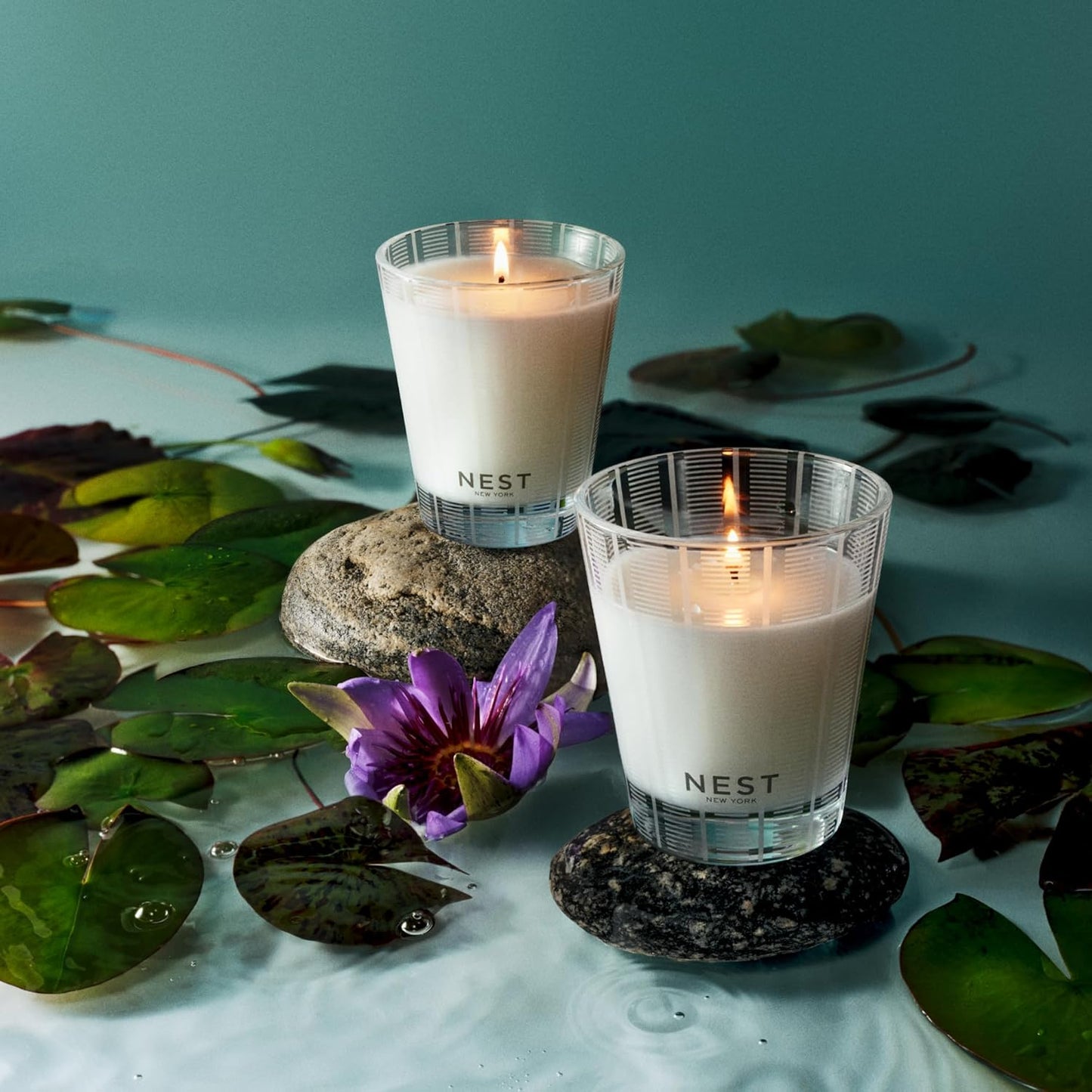 NEST New York Scented Classic Candle, Forest Rain - 8.1 oz - Up to 60-Hour Burn Time - Reusable Glass Vessel