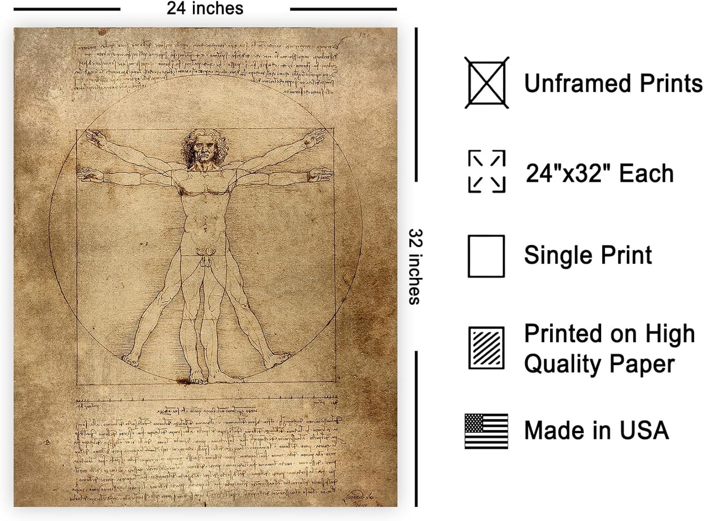 Poster Master Classic Leonardo Da Vinci Poster - Vintage Renaissance Print - Gift for Artist, Friend - Vitruvian Man, Proportion, Symmetry, Human Body - Wall Decor for Office, 24x32 Unframed Wall Art