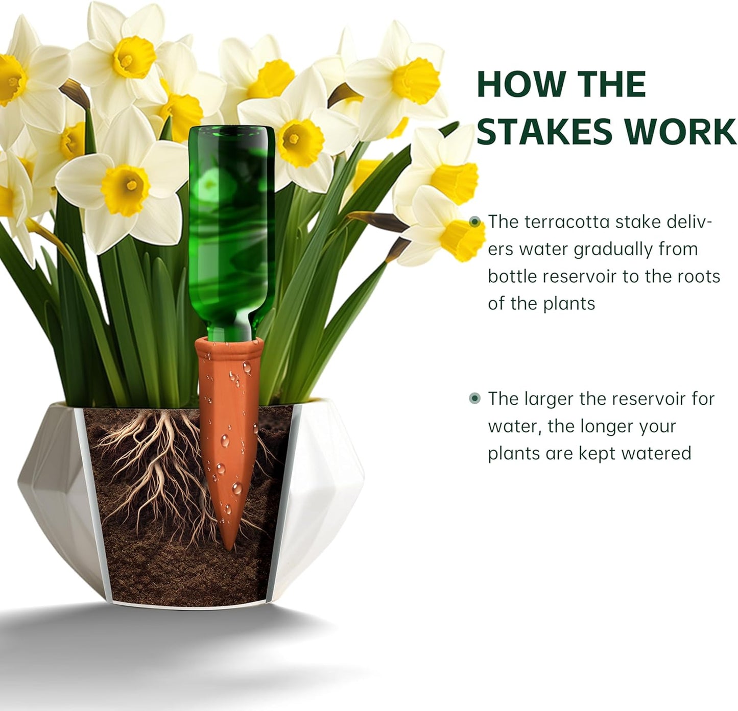 Wine Bottle Watering Spikes, Terracotta Watering Spikes for Out | Indoor Plants, Self Watering Planter Insert, Vacation Plant Watering Devices, Clay Plant Watering Globes, 8-Pack