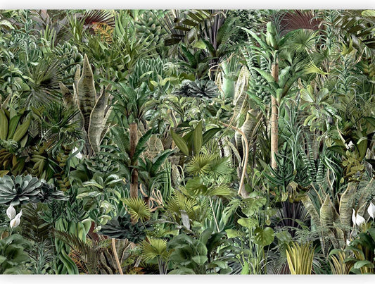 artgeist Premium Wall Mural Leaves 98x69 in - XXL Non-Woven Wallpaper Fleece Wall Decor Photo Print Picture Image Design Plants Abstract Nature Botanical b-C-0858-a-a