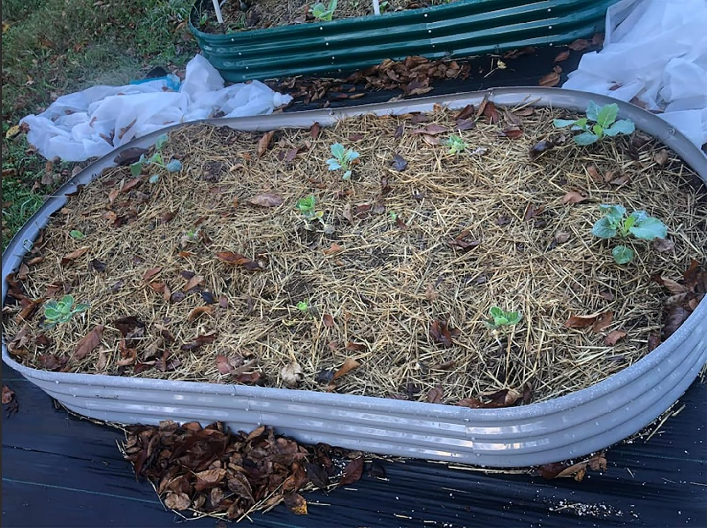 2 Pack 8x4x1FT Galvanized Raised Garden Bed Kit Oval Metal Ground Planter Box Outdoor Bottomless Planter Raised Beds for Vegetables Flowers Herbs Fruits, Gray