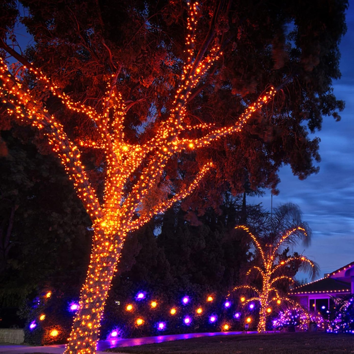 TW SHINE Orange Halloween Lights, 20FT 100 Count Incandescent Mini String Lights, Waterproof Halloween Decorations for Outdoor Indoor Patio Home Party Garden Yard Decor