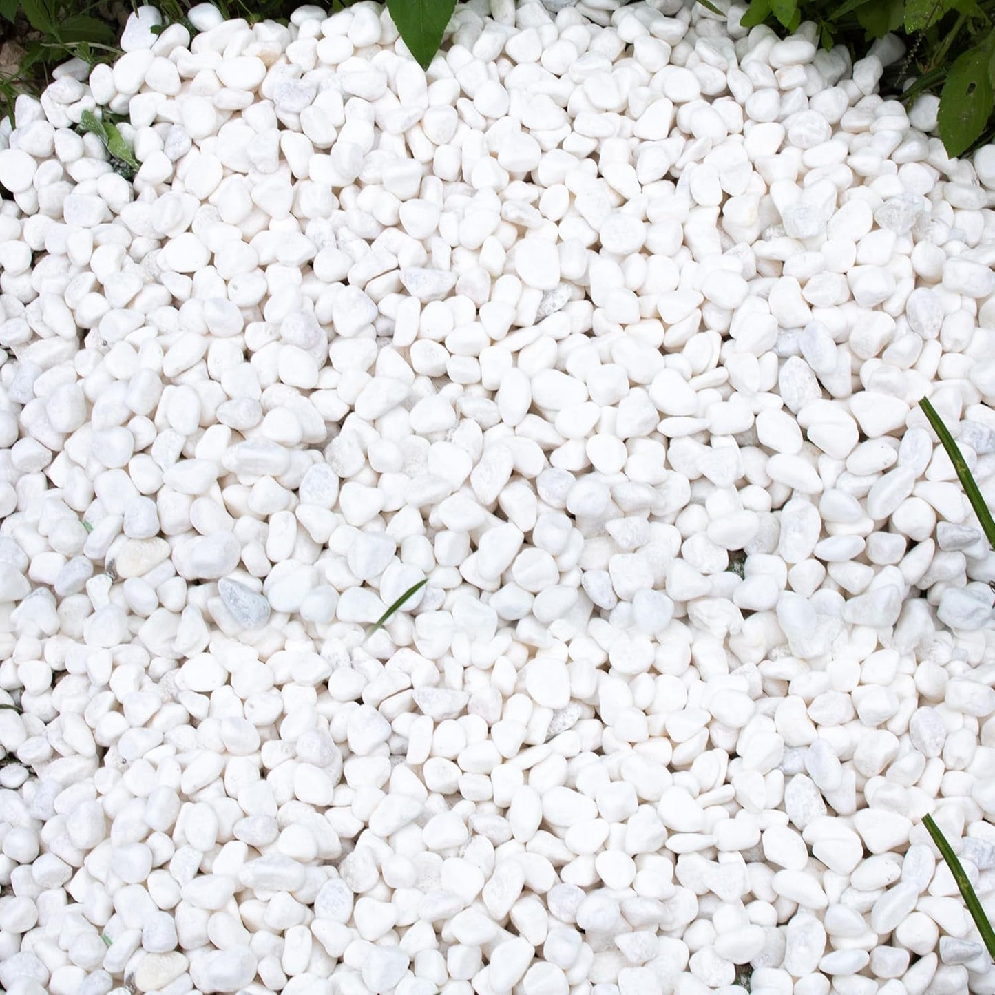 45lb White Rocks for Plants,Potting,Succulents Aquarium Fish Tank Garden Vases Decorative Pebbles Gravel Rocks Stones