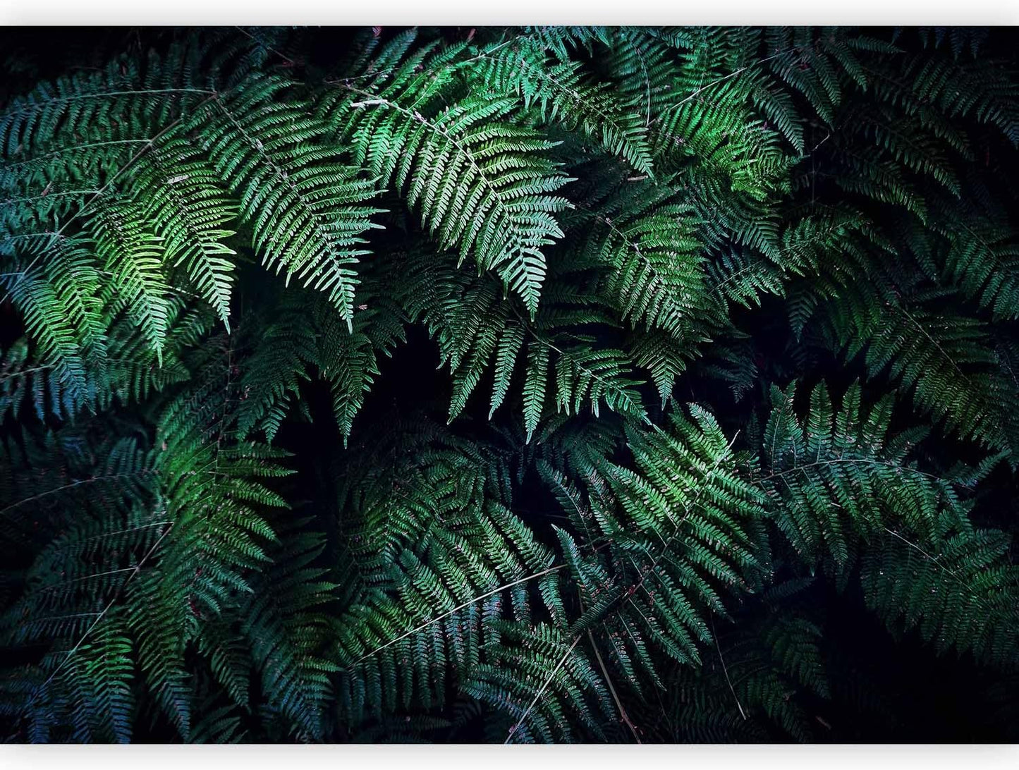 artgeist Wall Mural 3D Effect 197x138 in - XXL Non-Woven Wallpaper Fleece Wall Decor Photo Print Picture Image Design Home Tropical Leaves b-C-0564-a-a