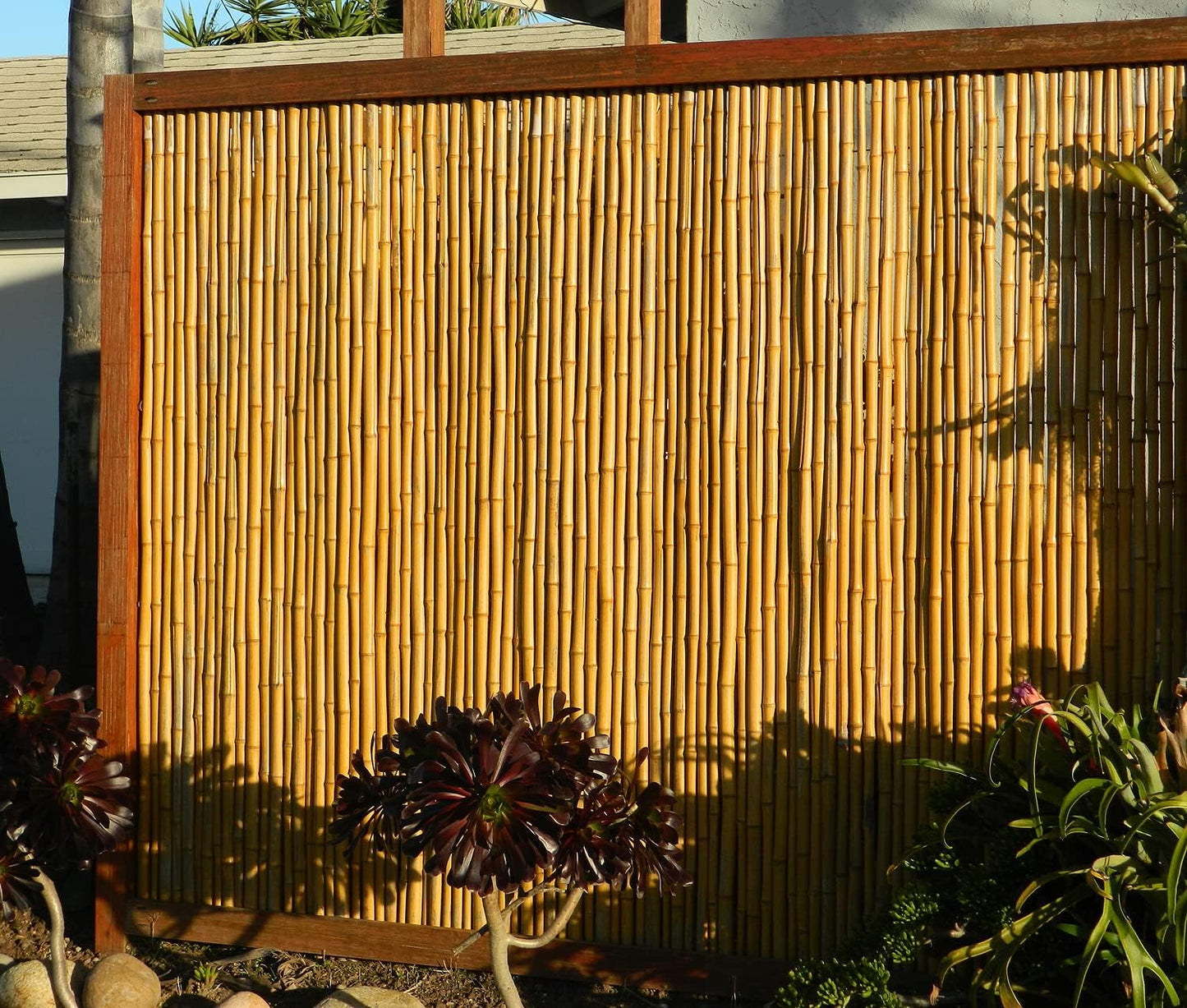 Backyard X-Scapes Natural Bamboo Fencing Decorative Rolled Fence Panel 0.75 in D x 4 ft H x 8 ft L