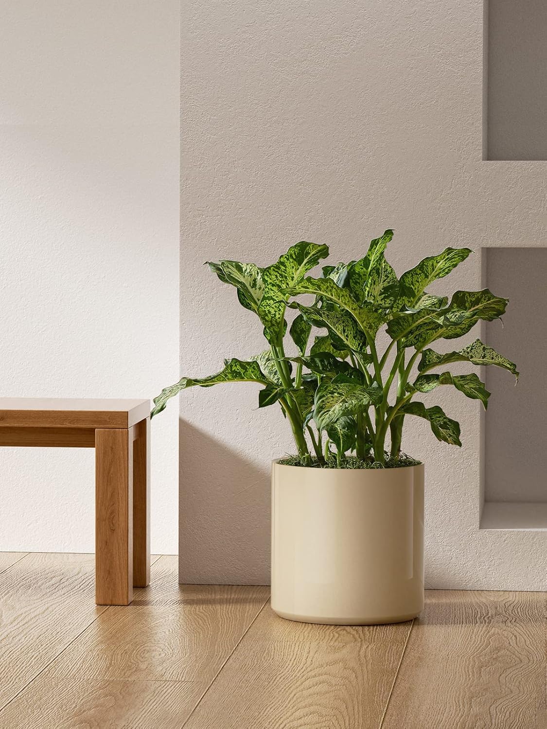 LE TAUCI 12 Inch Pots for Plants, Ceramic Large Plant Pot for Indoor Plants, Mid-Century Modern Flower Planter Pots with Drainage Hole and Removable Plug, Round Planter Pot, Reactive Glaze Cloud Cream