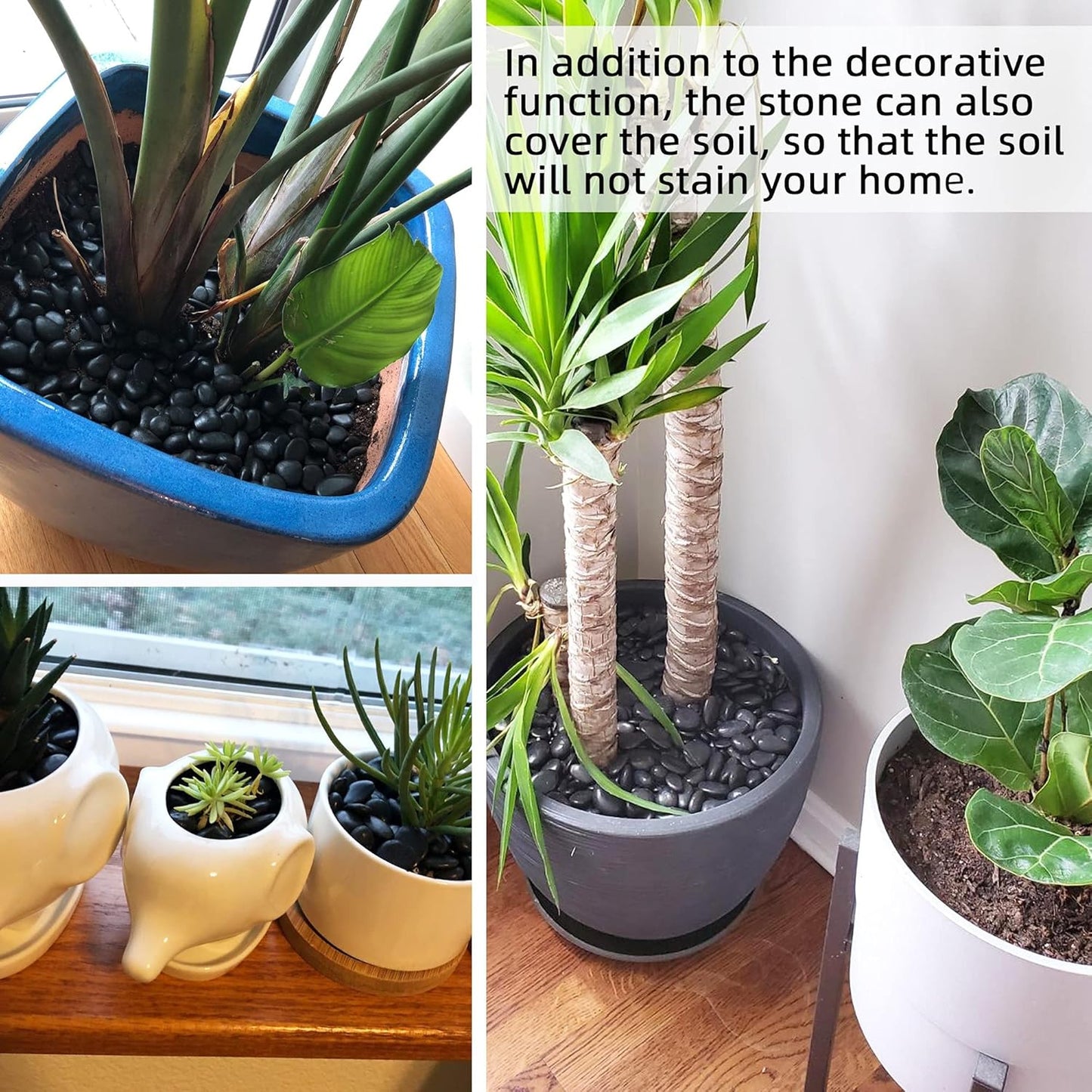 45lb Black Pebbles for Plants,Potting,Succulents Aquarium Fish Tank Vases Decorative Garden Polished Gravel Rocks Stones