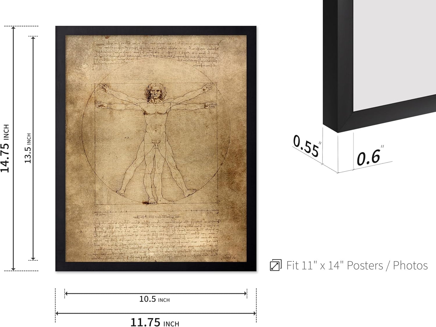 Poster Master Classic Leonardo Da Vinci Poster - Vintage Renaissance Print - Gift for Artist, Friend - Vitruvian Man, Proportion, Symmetry, Human Body - Wall Decor for Office, 11x14 Black Framed