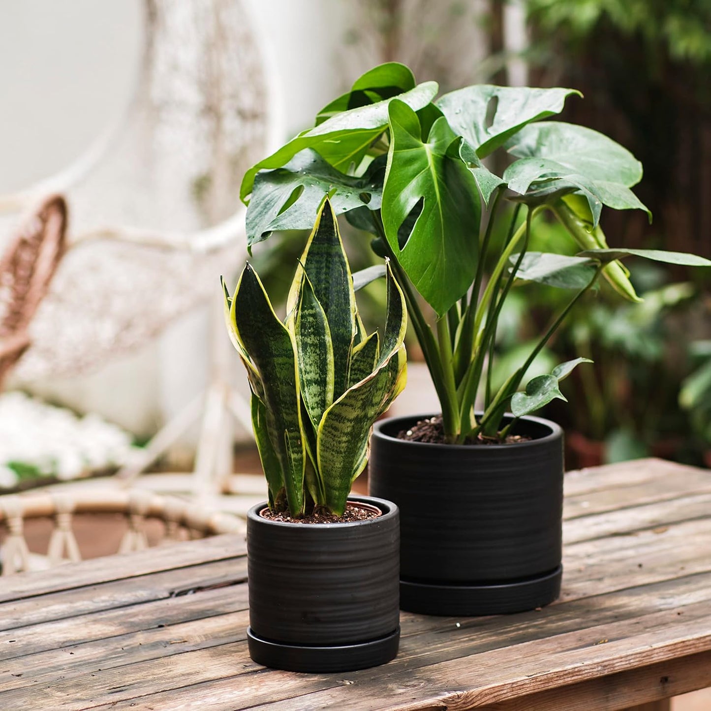 6 + 8 Inch Plant Pots, Ceramic Planter Pot with Drainage Hole & Saucer, Indoor/Outdoor Cylinder Round Planter Pot, Matte Black