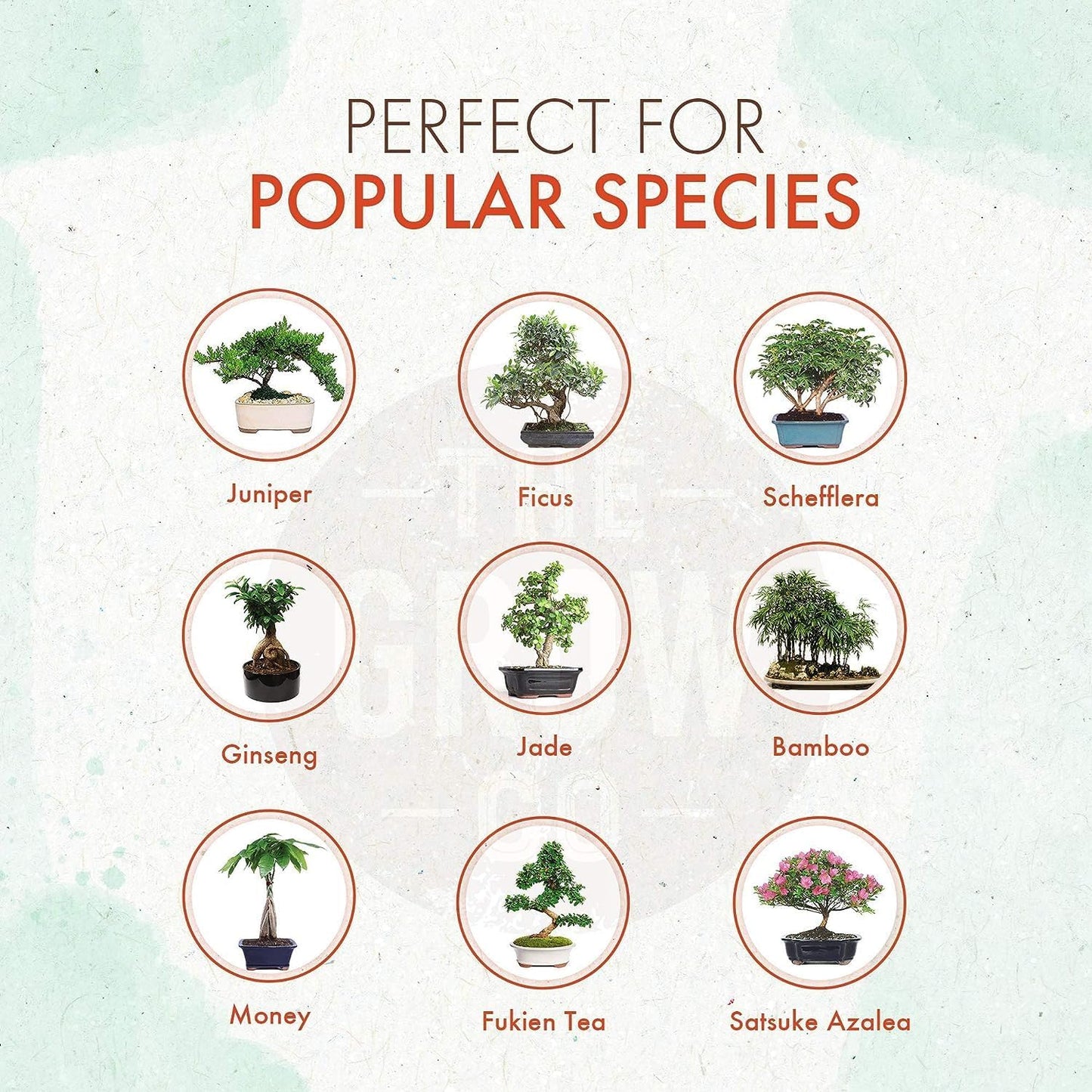 Bonsai Fertilizer - Gentle Slow Release Plant Food Pellets - Ideal for All Indoor and Outdoor Bonsai Tree Plants in Pots (5 oz)